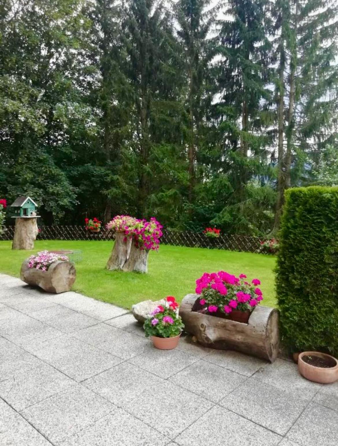 젬머링 Tannenhof B&B 외부 사진